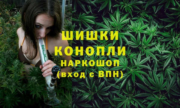 хмурый Балабаново