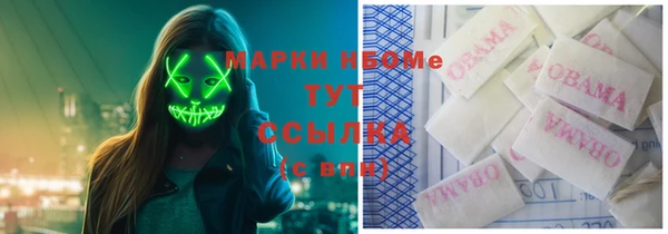 крисы Балахна