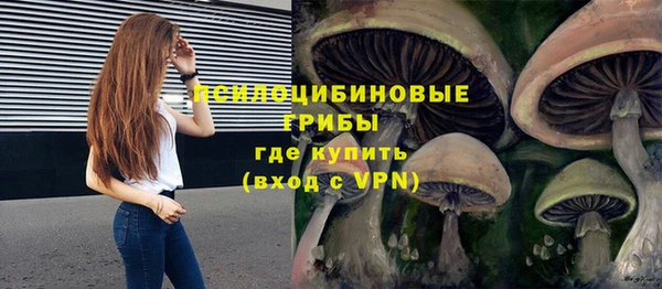 крисы Балахна