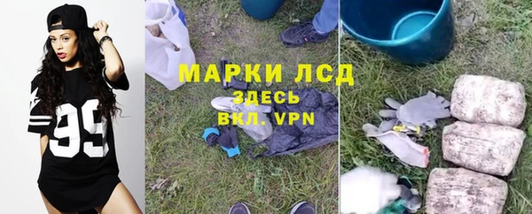 крисы Балахна