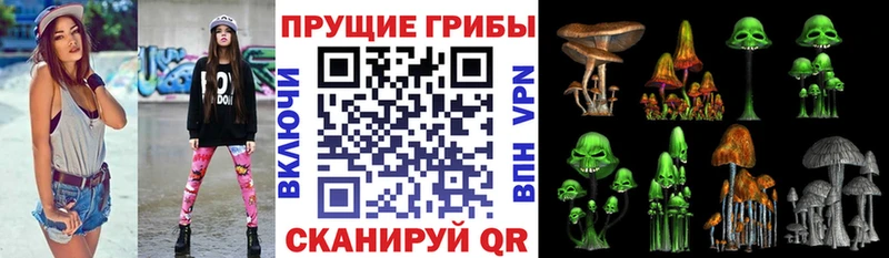 купить закладку  Печоры  Псилоцибиновые грибы прущие грибы 